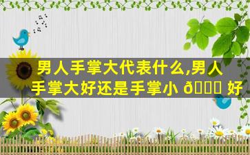 男人手掌大代表什么,男人手掌大好还是手掌小 🐒 好